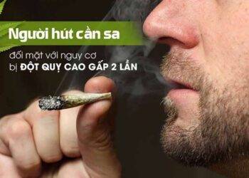 Cần Sa: Tác dụng 1 nhưng tác hại 10, bị cấm vẫn hơn