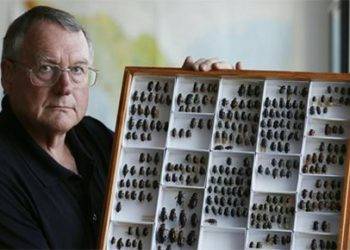 Côn trùng có thể trở thành đầu mối cung cấp thông tin quan trọng giúp cảnh sát phá án