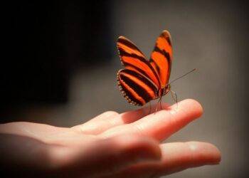 Hãy tử tế với đời, đời sẽ tử tế với bạn thôi