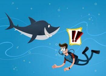 Những điều bạn chưa biết về Cá Mập, sát thủ máu lạnh của Đại Dương