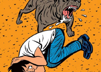 Làm thế nào khi bị chó tấn công?