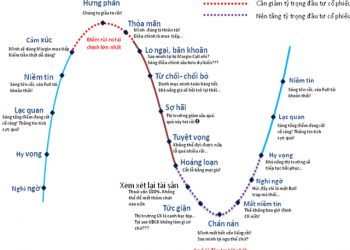 Tìm hiểu về cảm xúc thị trường và chu kỳ của cảm xúc thị trường