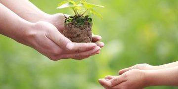 Nền tảng nào có thể định nghĩa được nguyên tắc cho đi nhận lại?