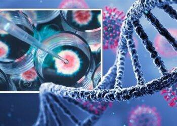 Omicron siêu biến thể Covid-19 lây lan nhanh gấp 500 lần so với Delta