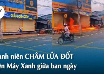 Thanh niên đốt Điện Máy Xanh ở Trà Vinh bị tâm thần phân liệt