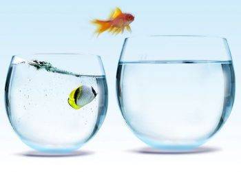 Đừng trách đời bất công, hãy nỗ lực trong âm thầm!