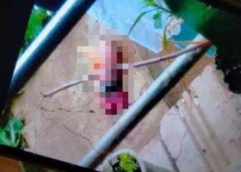 Nữ sinh lớp 11 sinh con rồi bỏ con tử vong không mảnh vải che thân ở khu ký túc xá