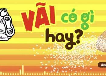 Nguồn gốc và ý nghĩa của từ “Vãi” được giới trẻ sử dụng phổ biến hiện nay