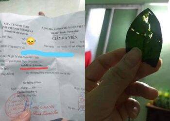 NGUY: Cảnh báo loại cây phong thuỷ được giới kinh doanh ưa chuộng lại ẩn chứa nhiều chất kịch độc, chỉ cần chạm vào lưỡi có thể gây bỏng rát, ngạt thở