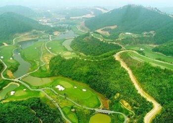 Năm 2022, loại hình bất động sản nào được dự báo phục hồi và tăng trưởng mạnh nhất?