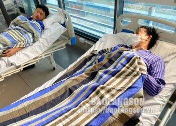 Thấy gần nơi làm việc nhiều rau rừng, nhóm người hái về ăn mà không biết có lẫn lá ngón