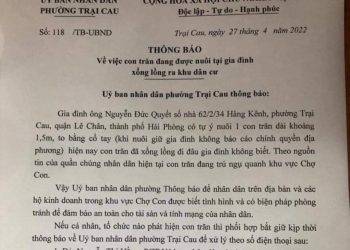Truy tìm con trăn dài 1,5m bị xổng chuồng trong khu dân cư ở Hải Phòng
