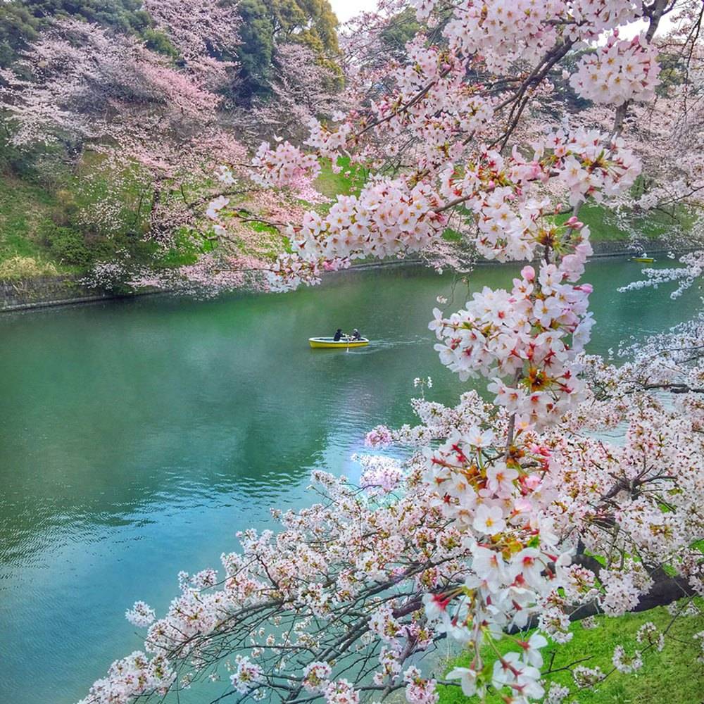 10 điều khiến khách du lịch đi Nhật Bản một lần là nhớ mãi: Tắm onsen chỉ xếp thứ 5