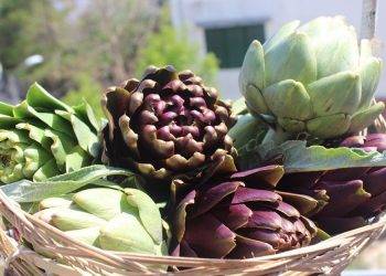 9 công dụng của atiso với sức khỏe - 'Thần dược' chữa bệnh tuyệt vời