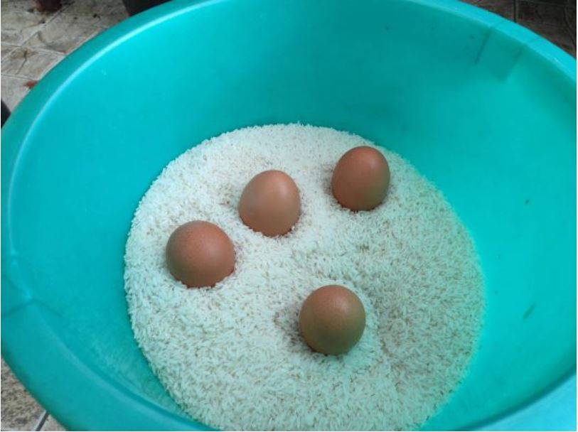Cho trứng vào gạo có công dụng trên cả tuyệt vời nhưng đa số mọi người không biết