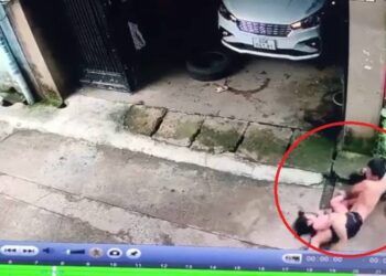 Kinh hãi clip bé gái bị 2 con chó tấn công, người bố liều mạng giằng co với thú dữ