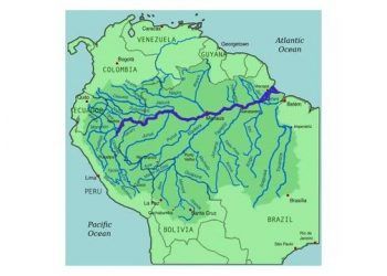 Tại sao không có cây cầu nào bắc qua sông Amazon?