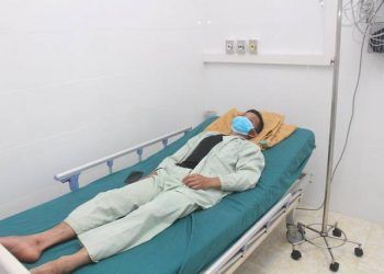 3 người trong một gia đình bị ngộ độc do ăn thịt cóc