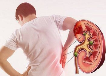 Cơ quan nắm giữ sự sống của cơ thể, nhiều người 'vừa dùng vừa phá' vì các thói quen xấu