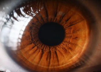 Nghiên cứu: Khám mắt có thể dự đoán nguy cơ đau tim