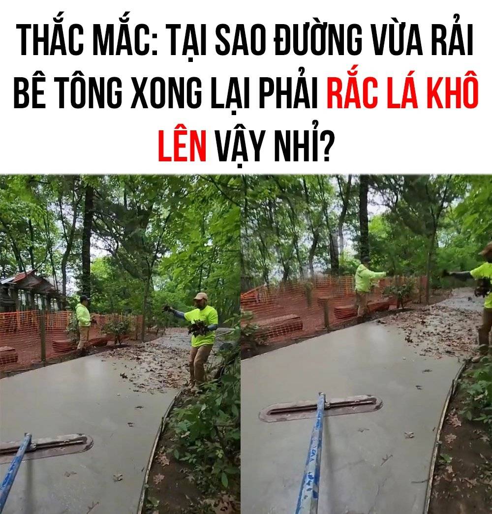 Nhiều người thắc mắc: Đường vừa rải bê tông xong phải rắc lá khô lên trên để làm gì?