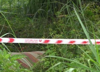 Phát hiện thi thể nữ giới trong bụi cỏ