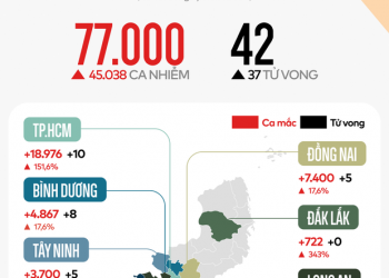 Toàn cảnh tình hình dịch sốt xuất huyết bùng phát ở các tỉnh phía Nam