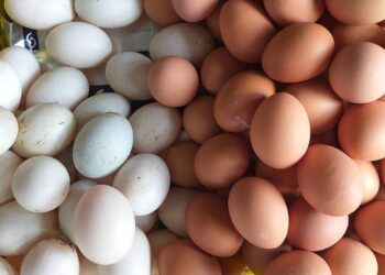 3 không cần nhớ khi ăn trứng để không mang bệnh vào người