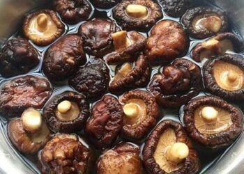 5 loại rau quen thuộc lại là kẻ thù hủy hại sức khỏe, cái cuối cùng rất nhiều người hay ăn