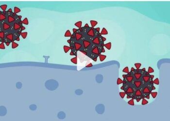 BA.5 đã là biến thể tồi tệ nhất của Omicron?