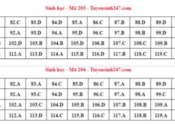 Cập nhật đáp án đề thi môn Sinh học trong kỳ thi tốt nghiệp THPT 2022