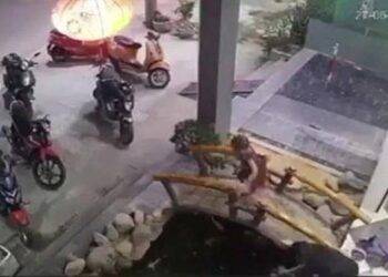 Được bố mẹ đưa đi uống cà phê, bé trai 4 tuổi rơi xuống bể cá của quán đuối nước thương tâm