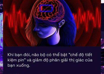 Khi bạn đói, não bộ có thể bật "chế độ tiết kiệm pin" và giảm độ phân giải thị giác của bạn xuống