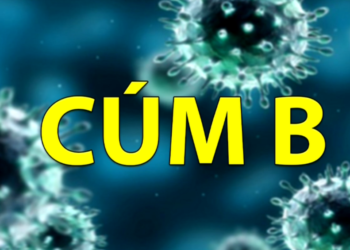 khong chi cum a mot loai cum khac cung dac biet nguy hiem neu khong dieu tri d Một loại cúm cũng đặc biệt nguy hiểm không kém gì cúm A nếu không chữa trị đúng cách Không chỉ cúm A, một loại cúm khác cũng đặc biệt nguy hiểm nếu không điều trị đúng cách