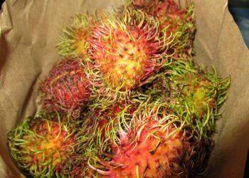 Lô hàng tương ớt, chôm chôm, thanh long của Việt Nam bị tiêu hủy ở châu Âu