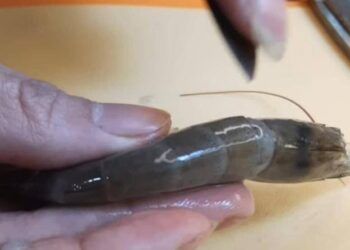 Mẹo vặt trong bếp: Thêm vài hạt nhà nào cũng có, tôm tươi trữ đông cả tháng vẫn ngọt, tươi, chắc thịt như vừa mới mua về