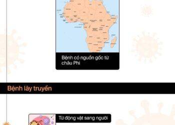 Người mắc bệnh đậu mùa khỉ cách ly tối thiểu 14 ngày và những điều cần biết để phòng tránh