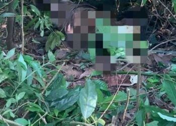 Phát hiện thi thể nam giới quấn chăn và dây trên đồi Cao ở Hải Phòng