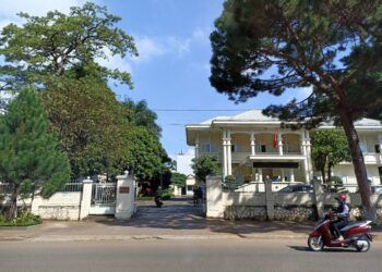 Sở Y tế Gia Lai có vi phạm trong việc mua kit test xét nghiệm Covid-19