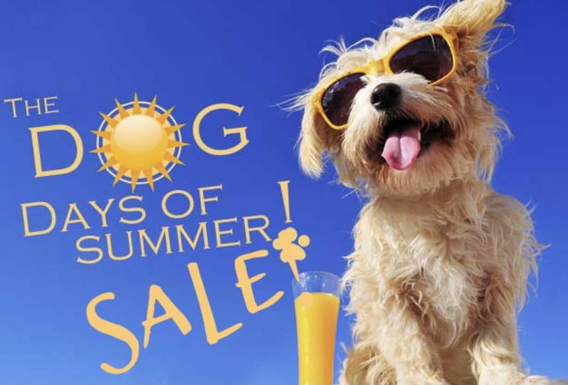 Tại sao những ngày nóng rẫy tháng 7 gọi là 'những ngày chó'?