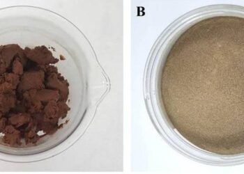 Thạc sỹ chế tạo chất hỗ trợ điều trị ung thư từ bã men bia