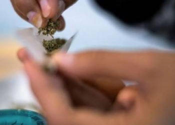 Thái Lan cho sử dụng cần sa, nhiều nước đưa ra cảnh báo