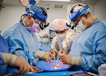 Thêm 2 người chết não được ghép tim heo thành công