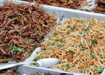 "Thực phẩm của tương lai" gây sốt ở Thái Lan: Trông đáng sợ nhưng mùi vị lại ngon bất ngờ!