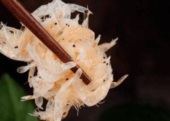 tom kho vo trung canh xuong tuong giau canxi nhung an nhieu lai loi bat cap hai Những món ăn tưởng giàu canxi nhưng ăn nhiều lợi bất cập hại Tôm khô, vỏ trứng, canh xương, tưởng giàu canxi nhưng ăn nhiều lại lợi bất cập hại, đây mới là 3 loại thực phẩm "cao thủ" giúp xương chắc khỏe