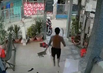 Video: Kinh hoàng chứng kiến người đàn ông đánh tử vong hàng xóm vì 'hóng' chuyện vợ chồng cãi nhau