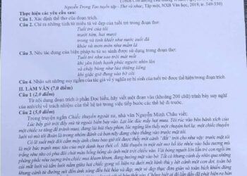 Xuất hiện thêm 1 'thánh đoán đề' mới, 'đối thủ' đáng gờm của Kaito Kid và Đen Vâu?