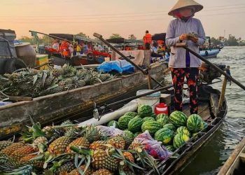 1 nơi ở Việt Nam được chuyên trang du lịch quốc tế gọi là 'Viên ngọc quý': Niềm mơ ước của người mê sinh thái