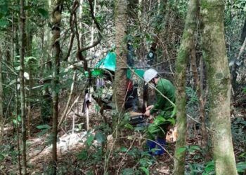 2 bộ xương khô phát hiện trong rừng sâu Gia Lai: Nạn nhân là người Đắk Lắk