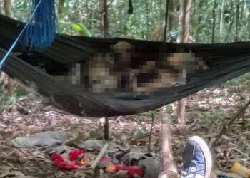 2 thi thể chỉ còn bộ xương khô: Chưa xác định danh tính, không tìm được thân nhân